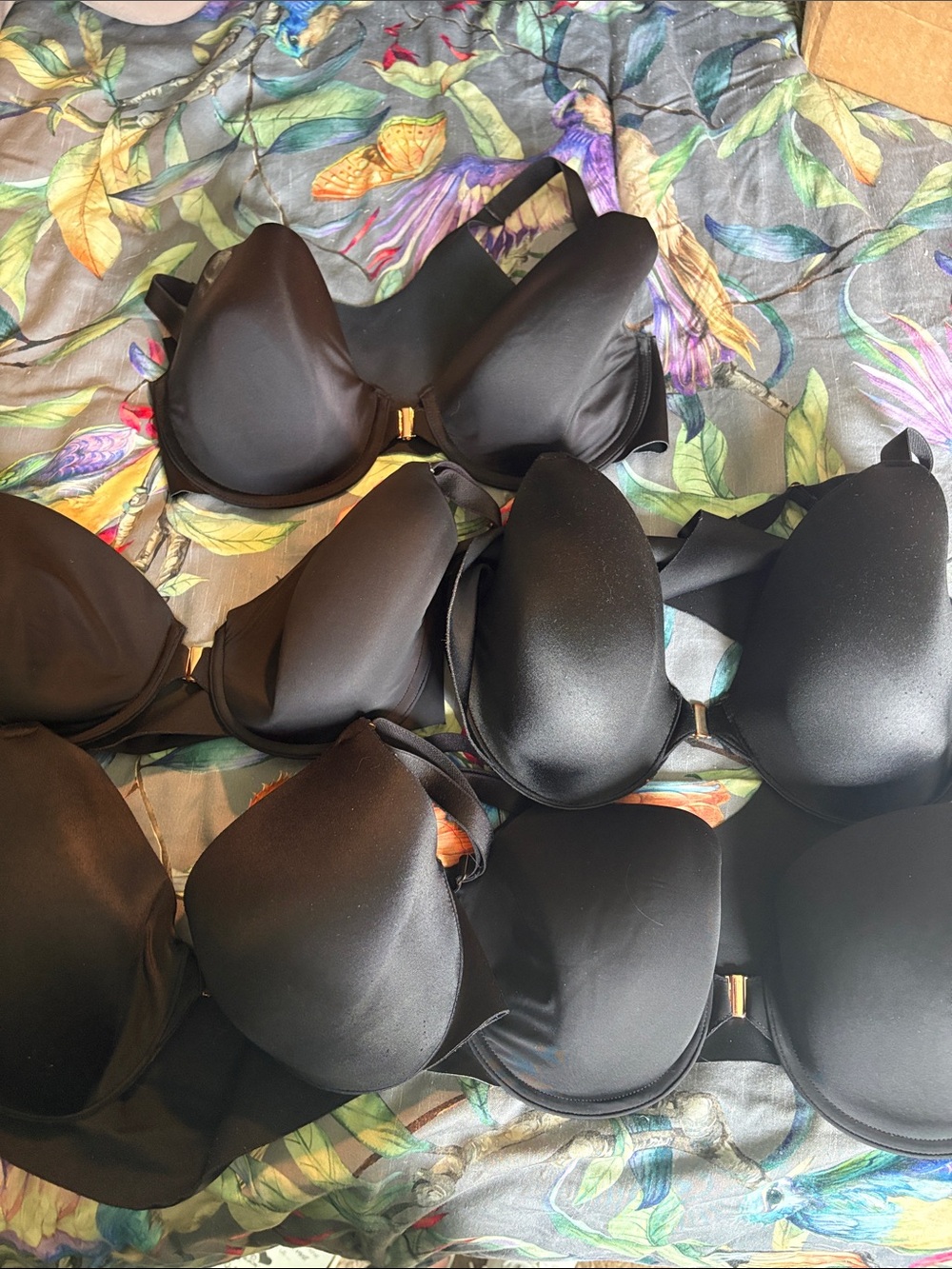 Soma Black Smooth T-Shirt Bra Pack - Black